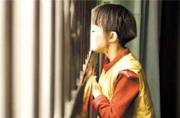 自闭症绝非弱智，5 大特征重塑你对孤独症的理解